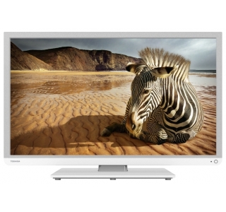 Toshiba 24W1334G