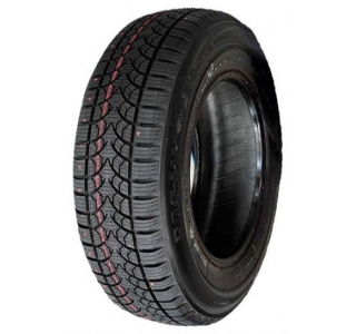 185/70 R14 (WQ-103) 88S