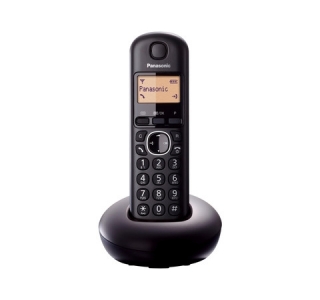 Panasonic KX-TGB210UAB