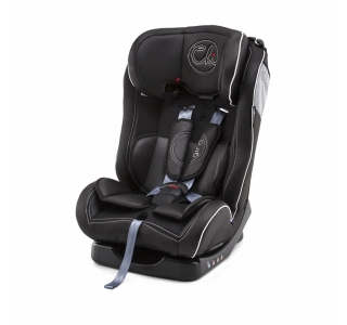 Chipolino Giro