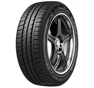 205/55 R 16 Бел-262 Белшина б/к