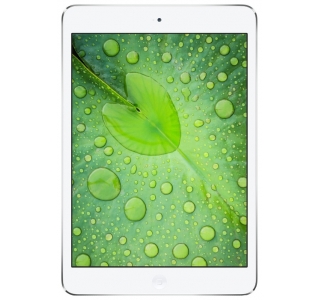 iPad mini 2 Retina 16Gb Silver 4G