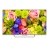 Sony 43W756C — 2/2