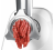 Masina de tocat carne Bosch MFW2510W — 4/6